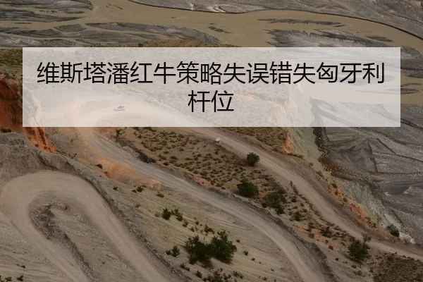维斯塔潘红牛策略失误错失匈牙利杆位