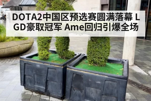 DOTA2中国区预选赛圆满落幕 LGD豪取冠军 Ame回归引爆全场